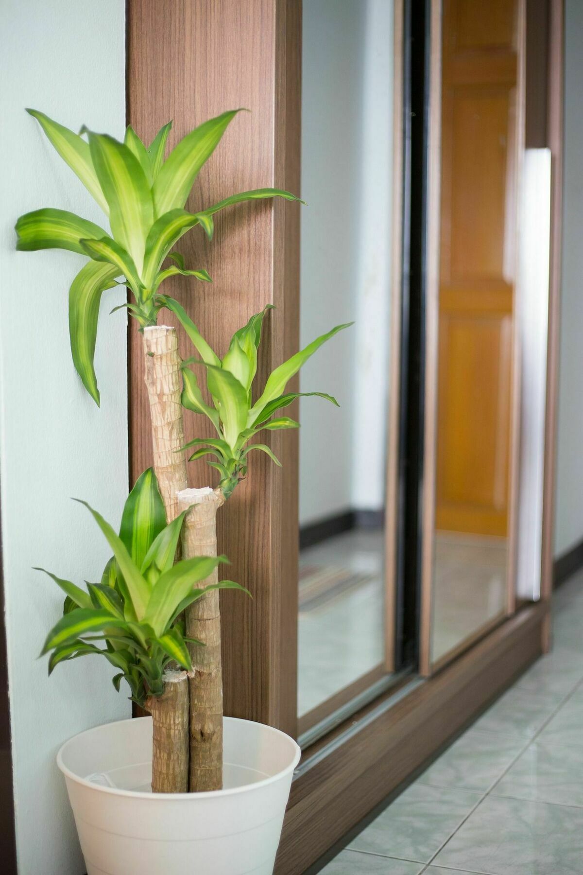 بانكوك Ratchaprarop Apartment المظهر الخارجي الصورة